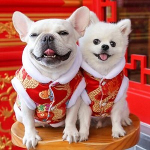dog chinese new year costume