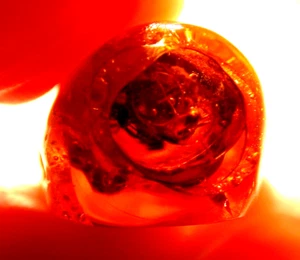 SWARM of 15 Winged Ants with Water Enhydros in Dominican Amber Fossil Stalactite - Picture 1 of 16