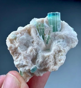 100 hochwertige voll terminierte Turmalin Kristall Exemplare aus Afghanistan - Bild 1 von 4