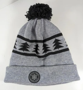 Dakine Jack Pine grau Mütze Merinowollmischung Bommelmütze Fleece gefüttert Komfortmütze - Bild 1 von 6