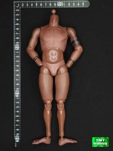 Soldier Story SSG-008 Ubisoft The Division 2 - Body (NO HEAD & HEANDS) im Maßstab 1:6 - Bild 1 von 2