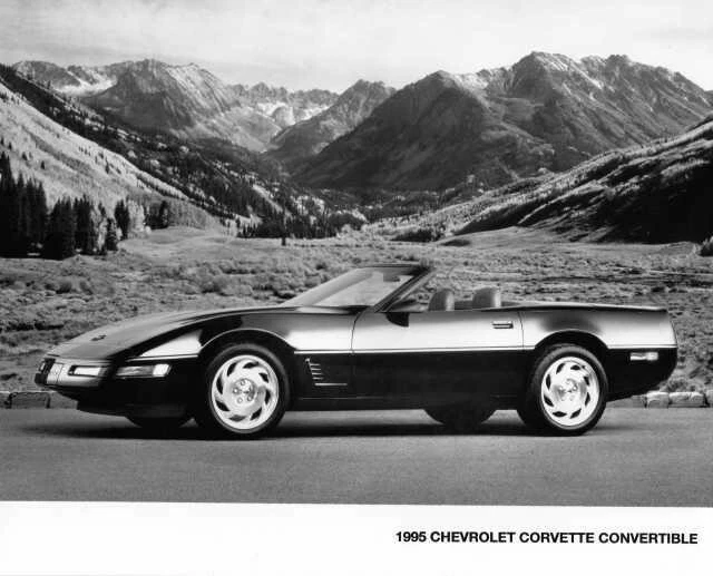 1995 Chevrolet Corvette Convertible Press Photo 0105 - Image 1 of 1