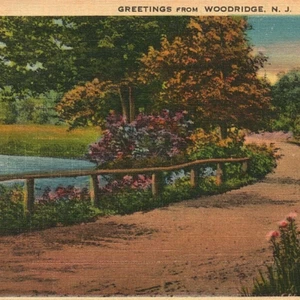c.1943 Greetings From Woodridge New Jersey Dirt Road Pond Postcard NJ Bergen - Picture 1 of 3