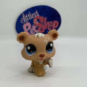 BEAR CUB #108 - Authentic Littlest Pet Shop - Hasbro LPS - Picture 1 of 4