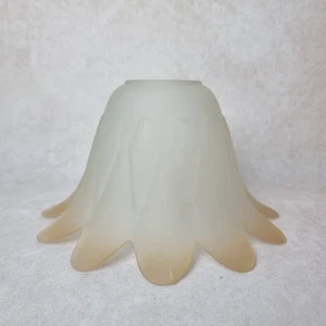 Abat Jour Tulipe en Verre Dépoli – Ancien Globe Lampe Suspension Forme Fleur - Photo 1/6