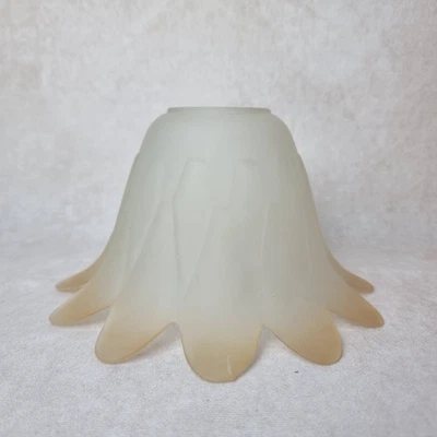 Abat Jour Tulipe en Verre Dépoli – Ancien Globe Lampe Suspension Forme Fleur - Photo 1/4