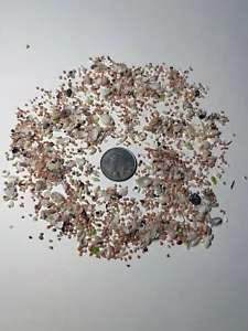 1 Tablespoon MICRO MINI TINY REAL SEASHELLS for crafts & valentines, lot #1 - Picture 1 of 7