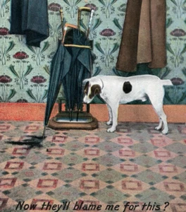 C1908 Funny Cute Fox Terrier Don't Blame Dog Pee Wet Umbrella Postcard Bamforth - Picture 1 of 3