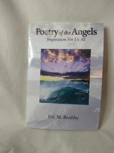 Poetry Of Angles 1 By Eric Brodsky  New - Picture 1 of 5