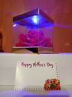 Mothers day Artificial red Rose  Box-Led Light- All Occasions Mothers Day gift
