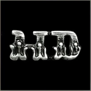 "HD" Harley Letters Fire Flames Biker Riding Pin for Hat Vest Jacket or Lapel - Picture 1 of 1