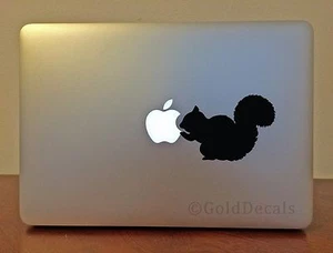 Squirrel - Laptop Decal Bumper Sticker Window Decal Pet Love Cute Animal - Picture 1 of 2