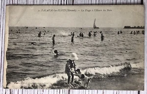 Palavas-les-Flots Herault - La Plage a l'Heure de Bain Beach Dog France Postcard - Picture 1 of 2
