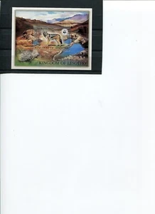 WWF LESOTHO 1981 chacal con respaldo negro S/S 1V montado sin montar o nunca montado - Imagen 1 de 1
