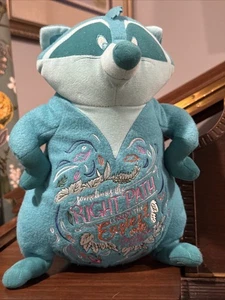 Disney Pocahontas Meeko Plush Toy Stuffed Wisdom Series Collectible #5 EUC! - Bild 1 von 5