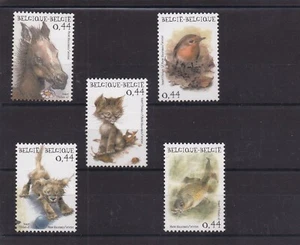 BELGIQUE SERIE COMPLETE DE 5 TIMBRES ANIMAUX NEUF** N° 3306 à 3310 Cote: 14€ - Photo 1/1