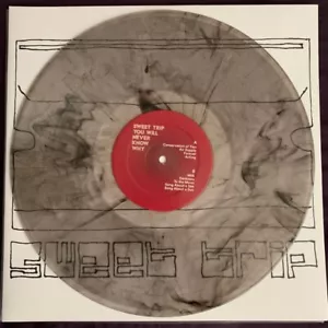 Sweet Trip – You Will Never Know Why 2 x LP - Colored Vinyl Album - NEW RECORD - Picture 1 of 2