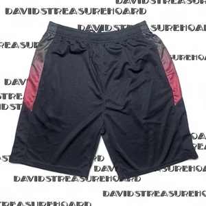 Men’s Sport USA Large Activewear Shorts Basketball Sportswear Black Lightweight - Picture 1 of 8