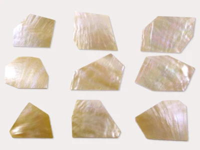 1/4 lb (4 oz) DORADO BLANCO nácar incrustación en blanco 0,050" de grosor ~ 30 piezas Foto 1 de 4