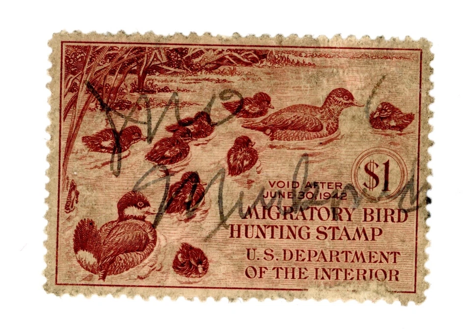 UNITED STATES-Individual Duck Stamp Scott #RW5 - Image 1 of 1