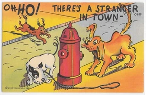 Oh Ho Fremder in der Stadt Hund läuft schnüffelt Hydranten Comic Curteich Postkarte - Bild 1 von 2