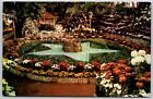 Chrysanthemum Display, Jewel Box, Forest Park, St. Louis, Missouri - Postcard