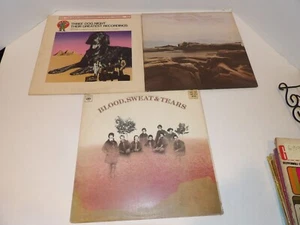 VINTAGE VINYL LP 3 RECORD LOT BLOOD SWEAT TEARS/MOODY BLUES/3 DOG NIGHT - Picture 1 of 9