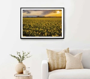 The Field of Beautiful Yellow Daffodils Poster Premium Quality Choose your Size - Picture 1 of 5