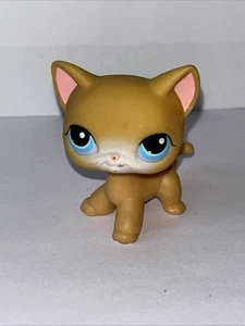 Littlest Pet Shop LPS Kurzhaar Katze Kätzchen 339 Brooke Hayes Main 5 Original - Bild 1 von 6