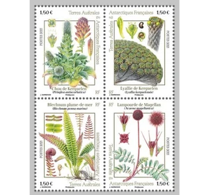 fsat 2021 taaf antarctic flower plant fern fiori flora flore ms4v mnh - Picture 1 of 1