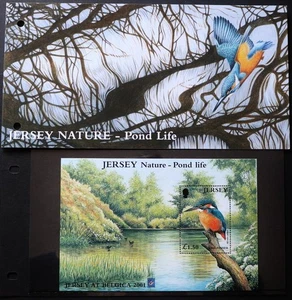 Jersey Stamps: Nature "Pond Life" Belgica OVPR £1.50 M/S Presentation Pack 2001 - Picture 1 of 4