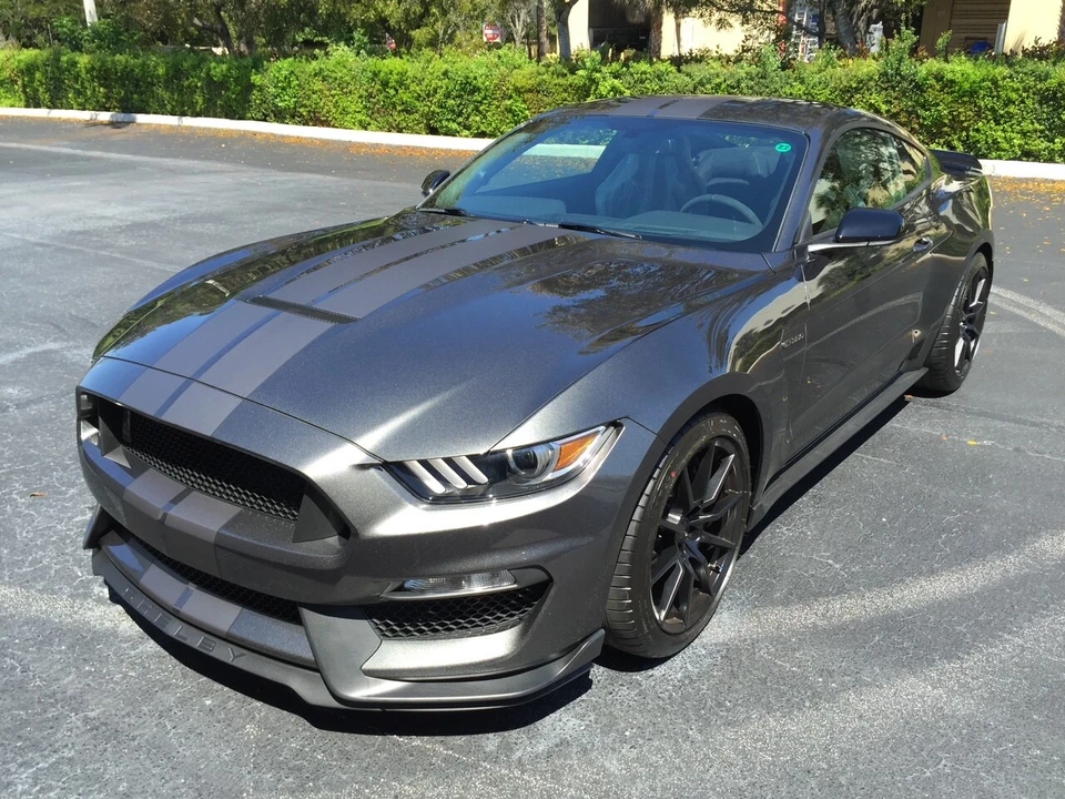 Shelby GT350 2016 2017 2018 2019 2020 Rally Stripes Foto 1 de 4