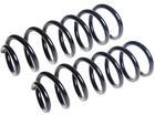 2X Mercedes C-Class W205 C 220 BlueTEC /d Front Coil Springs Fits Sport Amg Mode