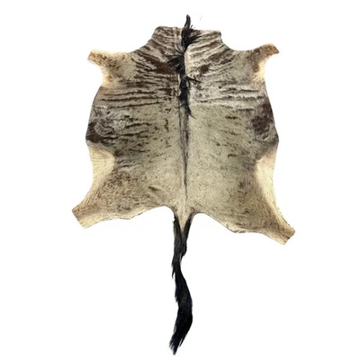 Couro de gnu azul (29" cauda) rígido! Bald Line Down the Middle 5x4 pés D-988 - Imagem 1 de 4