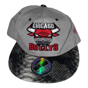 Chicago Bullys AGM Cap Bulls Hat Grey/Red Snapback - Picture 1 of 7