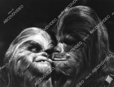 8B11-136 Peter Mayhew as Chewbacca TV The Star Wars Holiday Special 8B11-136 8B1