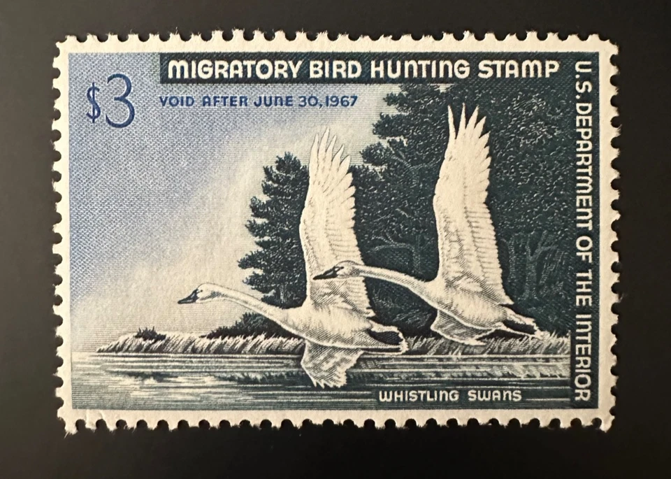 RW33 1966 US Federal Duck Stamp MNH Fine Well Centered FREE SHIPPING - Image 1 of 1