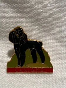 PIN'S CHIEN - CANICHE NOIR - Picture 1 of 1