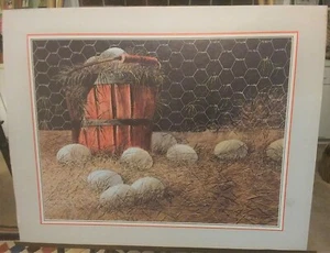 Vintage Picture - Ron Dembosky Duck Eggs Print (1980) VH 3373 - Picture 1 of 1