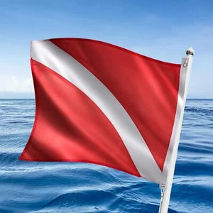 Dive Flag 20" x 24 for Snorkeling Use with Float, Buoy, Boat, - Picture 1 of 6