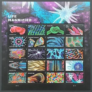 USA 2023 Stamps MNH Forever Life Magnified USPS Plate Block Sheet of 20 US - Picture 1 of 5