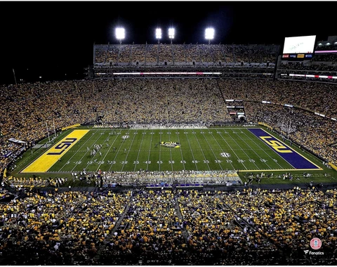 LSU Tigers Unsigned Tiger Stadium 11" x 14" Photo - Fanatics Cover