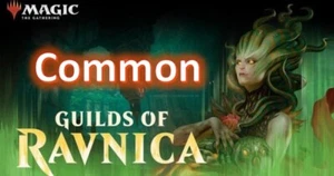 Guilds of Ravnica - Common - MTG ** BUY 3, GET 3 FREE ** - Picture 1 of 1