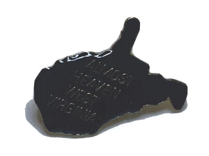 WEST VIRGINIA STATE LAPEL PIN NEW - Picture 1 of 2