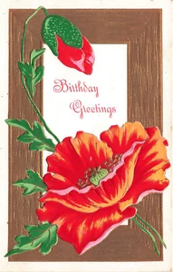 VINTAGE GEBURTSTAGSGRUSS POSTKARTE ORANGE MOHN GEPRÄGT um 1910 061622 R - Bild 1 von 2