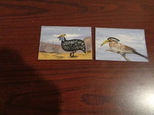 2 imanes pintados a mano (aves) de África - Imagen 1 de 6
