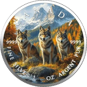 2025 Canada moneta a colori Magic Forest Wolf 1 OZ ARGENTO - EDIZIONE A COLORI - Foto 1 di 10