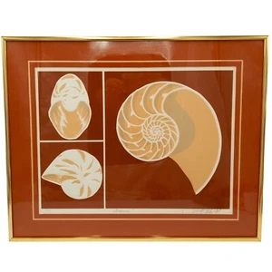 Seashell Framed Wall Art Vintage 1980s Nautilus Beach Sand Sea Shell Retro Print - Picture 1 of 12
