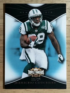 2009 Topps Triple Threads Sapphire #81 Jerricho Cotchery - Picture 1 of 2