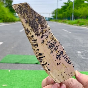 Hermosa piedra caliza dendrítica china natural 156G guohua - rara - Imagen 1 de 22